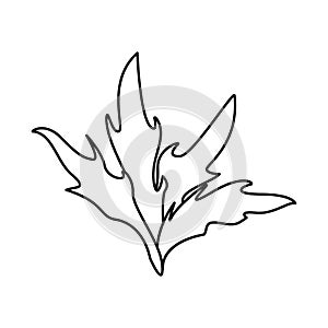 Vector design of bush and park symbol. Set of bush and field vector icon for stock.