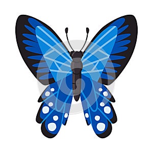 Vector design of butterfly and blue logo. Collection of butterfly and ecology stock vector illustration.