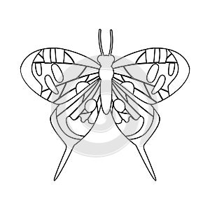 Vector design of butterfly and natural sign. Collection of butterfly and yellow stock vector illustration.