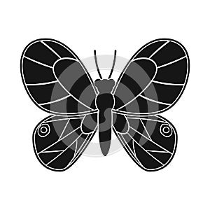 Vector design of butterfly and yellow symbol. Collection of butterfly and vivid stock vector illustration.