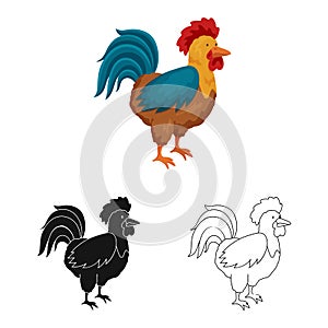 Vector design of cock and bird icon. Set of cock and husbandry stock symbol for web.