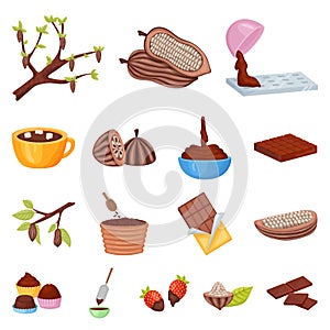 Vector design of cocoa and beans logo. Set of cocoa and sweetness vector icon for stock.