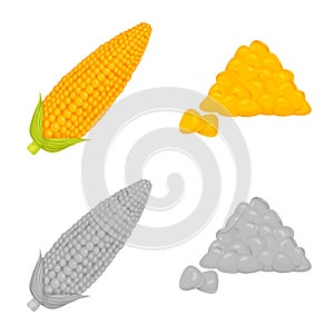 Vector design of cornfield and vegetable symbol. Set of cornfield and vegetarian stock vector illustration.