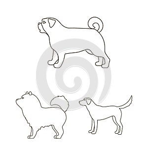 Vector design of cute and puppy sign. Collection of cute and animal vector icon for stock.