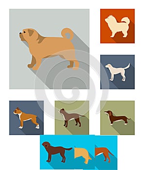 Vector design of cute and puppy sign. Set of cute and animal stock symbol for web.