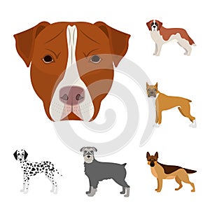 Vector design of cute and puppy sign. Set of cute and animal vector icon for stock.