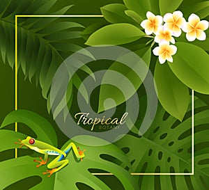 Vector design with exotic palm leaves a plumeria flowers with tropical colorful frog