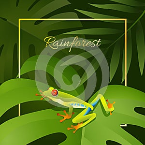 Vector design with exotic palm leaves with tropical colorful frog