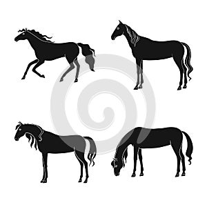 Vector design of fauna and mare sign. Set of fauna and stallion stock vector illustration.