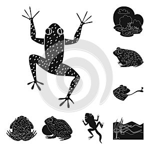 Vector design of fauna and reptile icon. Set of fauna and anuran stock vector illustration.