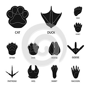 Vector design of feet and fauna sign. Set of feet and print stock vector illustration.