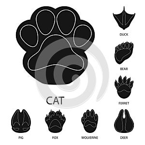 Vector design of feet and fauna symbol. Set of feet and print stock symbol for web.