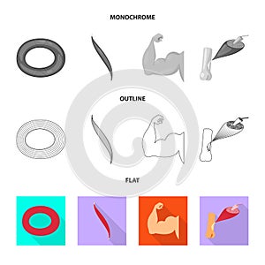 Vector design of fiber and muscular logo. Set of fiber and body vector icon for stock.