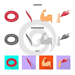 Vector design of fiber and muscular sign. Set of fiber and body  vector icon for stock.