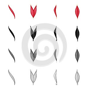 Vector design of fiber and muscular symbol. Collection of fiber and body stock symbol for web.