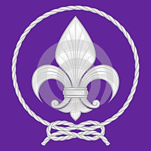 Vector design of a fleur de lis surrounded by an intertwined rope photo