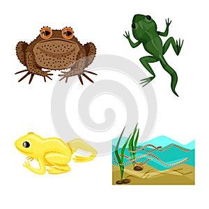 Vector design of frog and anuran icon. Set of frog and animal vector icon for stock. photo