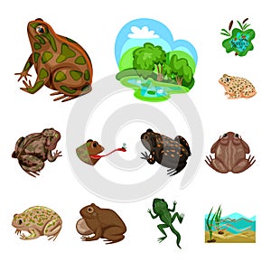 Vector design of frog and anuran sign. Collection of frog and animal stock symbol for web.