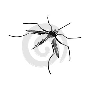 Vector design of gnat and mosquito icon. Set of gnat and virus stock symbol for web.