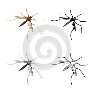 Vector design of gnat and mosquito icon. Set of gnat and virus stock vector illustration.