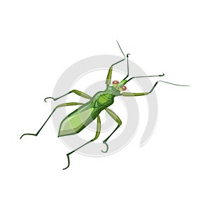 Vector design of grasshopper and beetle icon. Set of grasshopper and ant stock symbol for web.