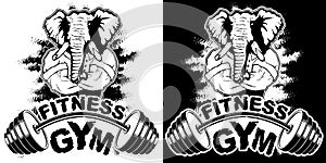 Vector design for a gym with an abstract image of a strong elephant