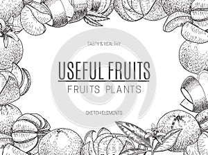 Vector design of hand drawn mandarins. Vintage sketch style illustration. Organic eco food. Whole , sliced pieces half