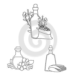 Vector design of healthy and vegetable icon. Collection of healthy and organics stock symbol for web.