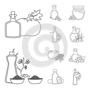 Vector design of healthy and vegetable symbol. Set of healthy and organics stock symbol for web.