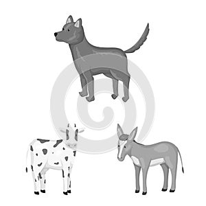 Vector design of homestead and agriculture icon. Set of homestead and kitchen stock vector illustration.