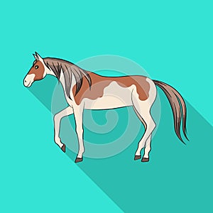 Vector design of horse and steed logo. Set of horse and western stock symbol for web.