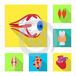 Vector design of human and health icon. Collection of human and scientific stock symbol for web.