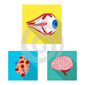 Vector design of human and health icon. Set of human and scientific vector icon for stock.