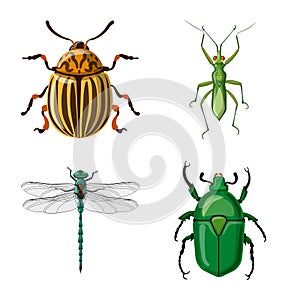 Vector design of insect and fly icon. Collection of insect and element stock symbol for web.