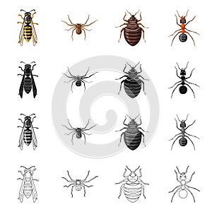 Vector design of insect and fly icon. Collection of insect and element stock vector illustration.