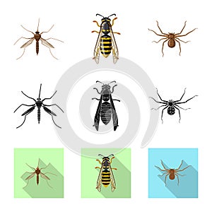 Vector design of insect and fly icon. Collection of insect and element stock vector illustration.