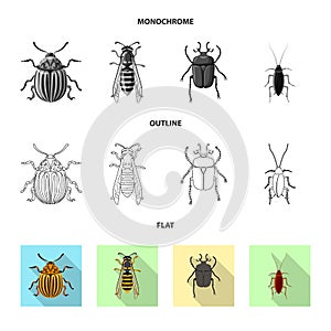 Vector design of insect and fly icon. Collection of insect and element stock vector illustration.