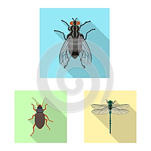 Vector design of insect and fly icon. Collection of insect and element stock vector illustration.