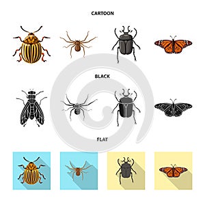 Vector design of insect and fly icon. Collection of insect and element stock vector illustration.