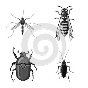 Vector design of insect and fly icon. Collection of insect and element stock vector illustration.