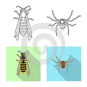 Vector design of insect and fly icon. Collection of insect and element stock vector illustration.