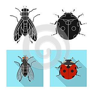 Vector design of insect and fly icon. Set of insect and element stock symbol for web.