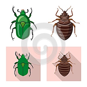 Vector design of insect and fly icon. Set of insect and element stock symbol for web.