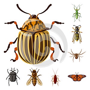 Vector design of insect and fly icon. Set of insect and element stock symbol for web.