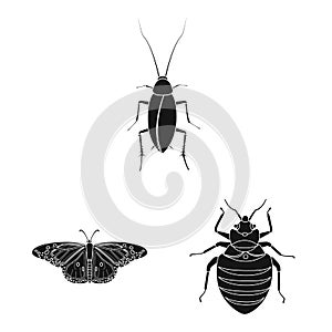 Vector design of insect and fly icon. Set of insect and element stock symbol for web.