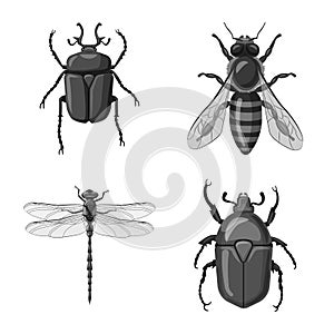 Vector design of insect and fly icon. Set of insect and element stock vector illustration.