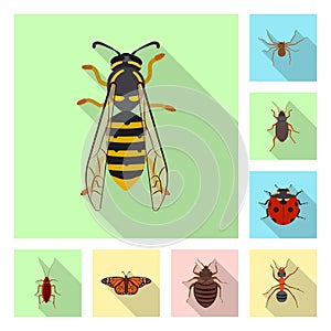 Vector design of insect and fly icon. Set of insect and element stock vector illustration.