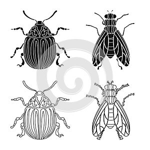 Vector design of insect and fly icon. Set of insect and element stock vector illustration.