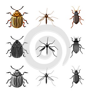 Vector design of insect and fly icon. Set of insect and element stock vector illustration.