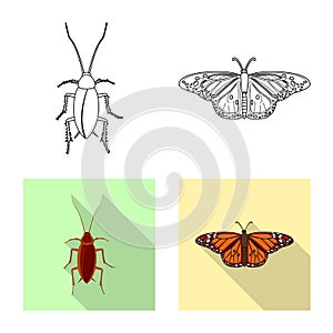 Vector design of insect and fly icon. Set of insect and element stock vector illustration.